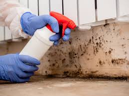 Slayton, MN Mold Prevention & Removal  Company